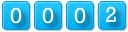 website hits counter